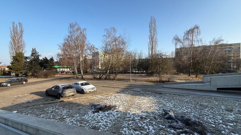 IMG_7530.jpeg