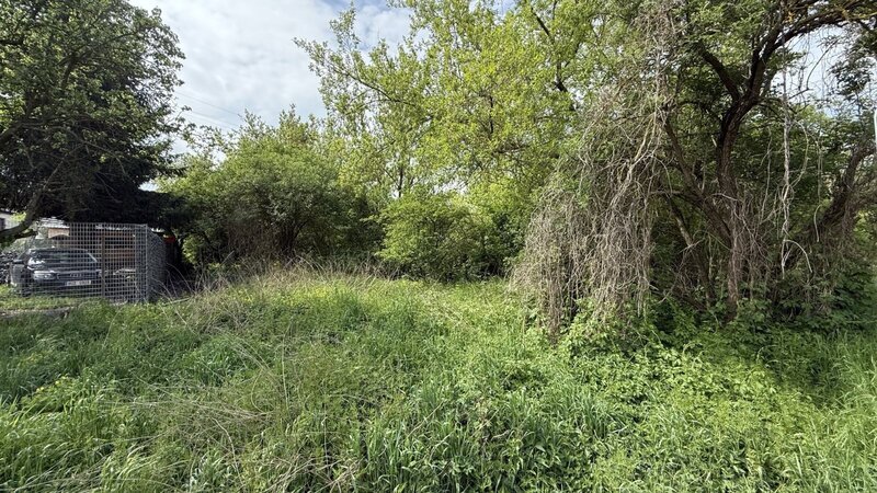 IMG_8986.jpeg