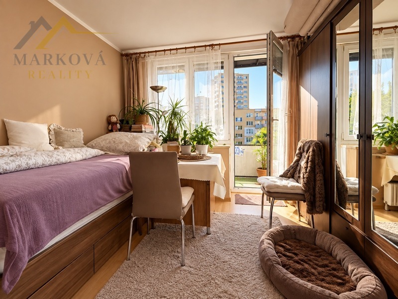 Prodej 1kk, 20 m2, České Budějovice, ul Staroměstská