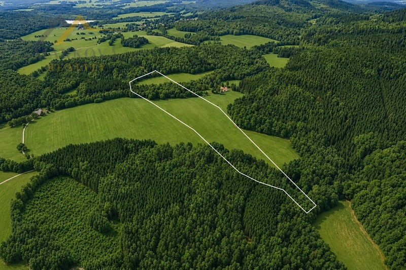 Prodej souboru pozemků, Klení, 98 591 m2