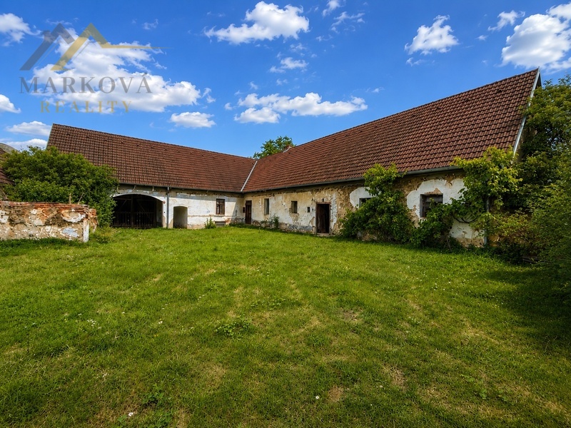IMG_8983.jpeg