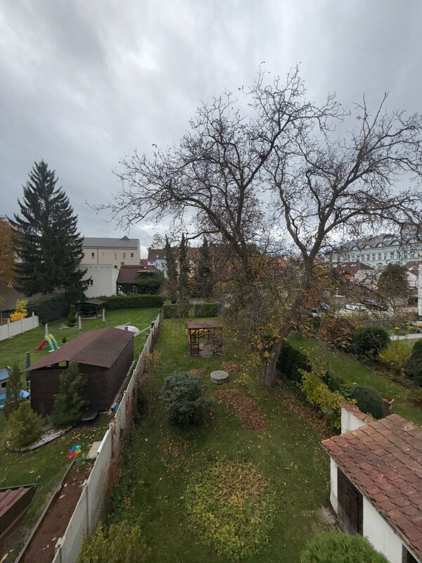 Obrázek WhatsApp, 2025-10-30 v 10.26.50_4ad2db1d.jpg