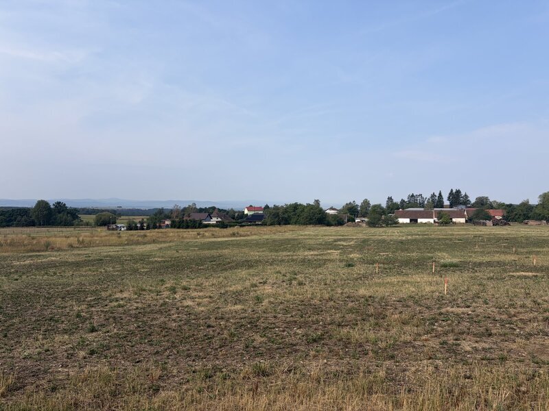 IMG_7209.jpeg