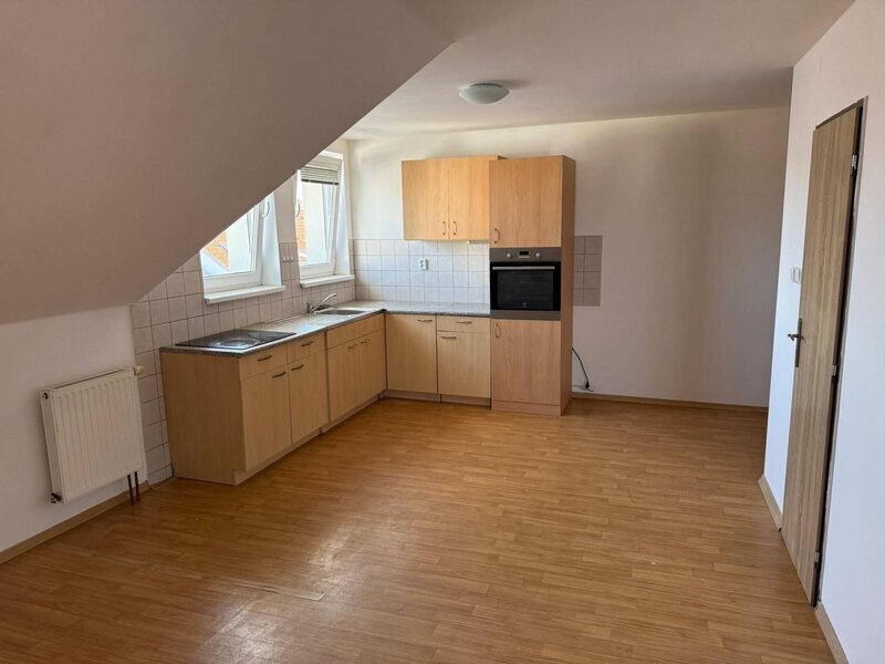 Pronájem bytu 1+kk (42m2), Skuherského, České Budějovice